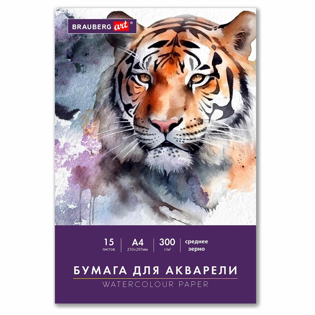 Бумага для рисования Brauberg 116353