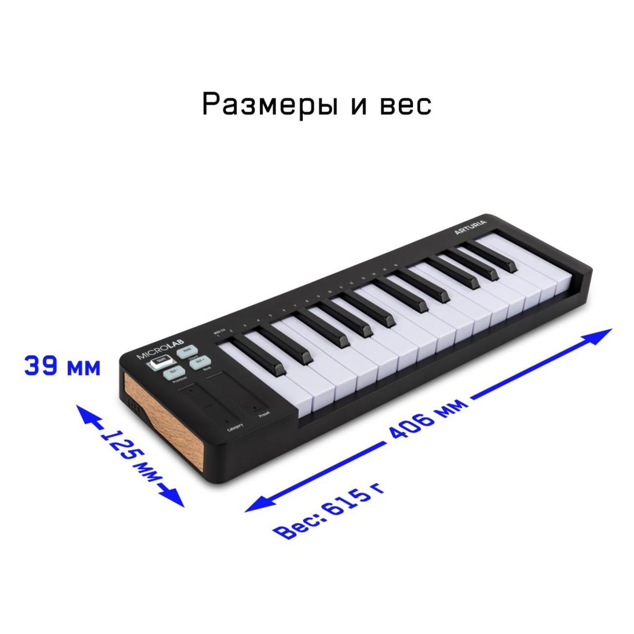 MIDI клавиатура Arturia MicroLab 3 Black
