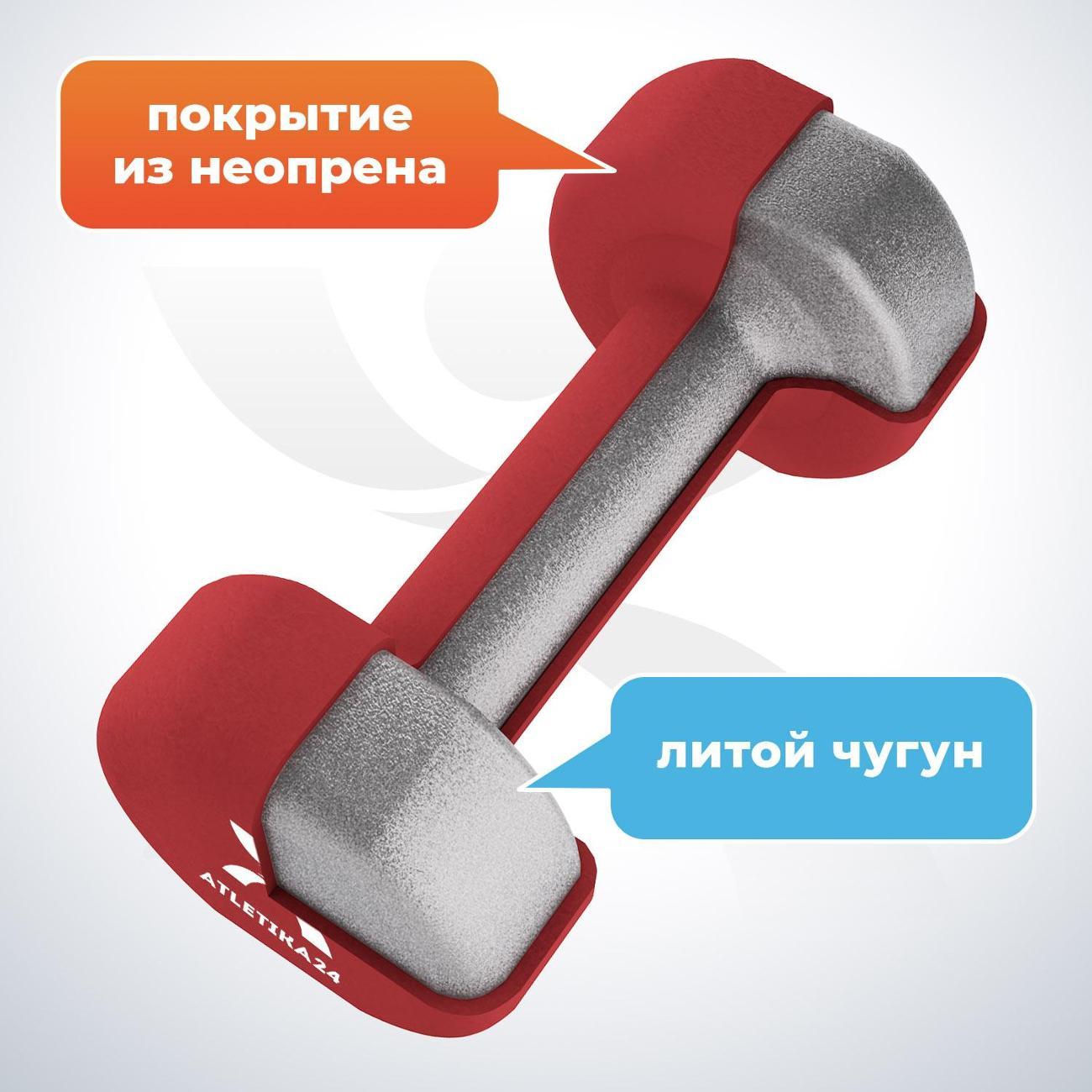 Гантель Atletika24 4 кг, 2 шт.