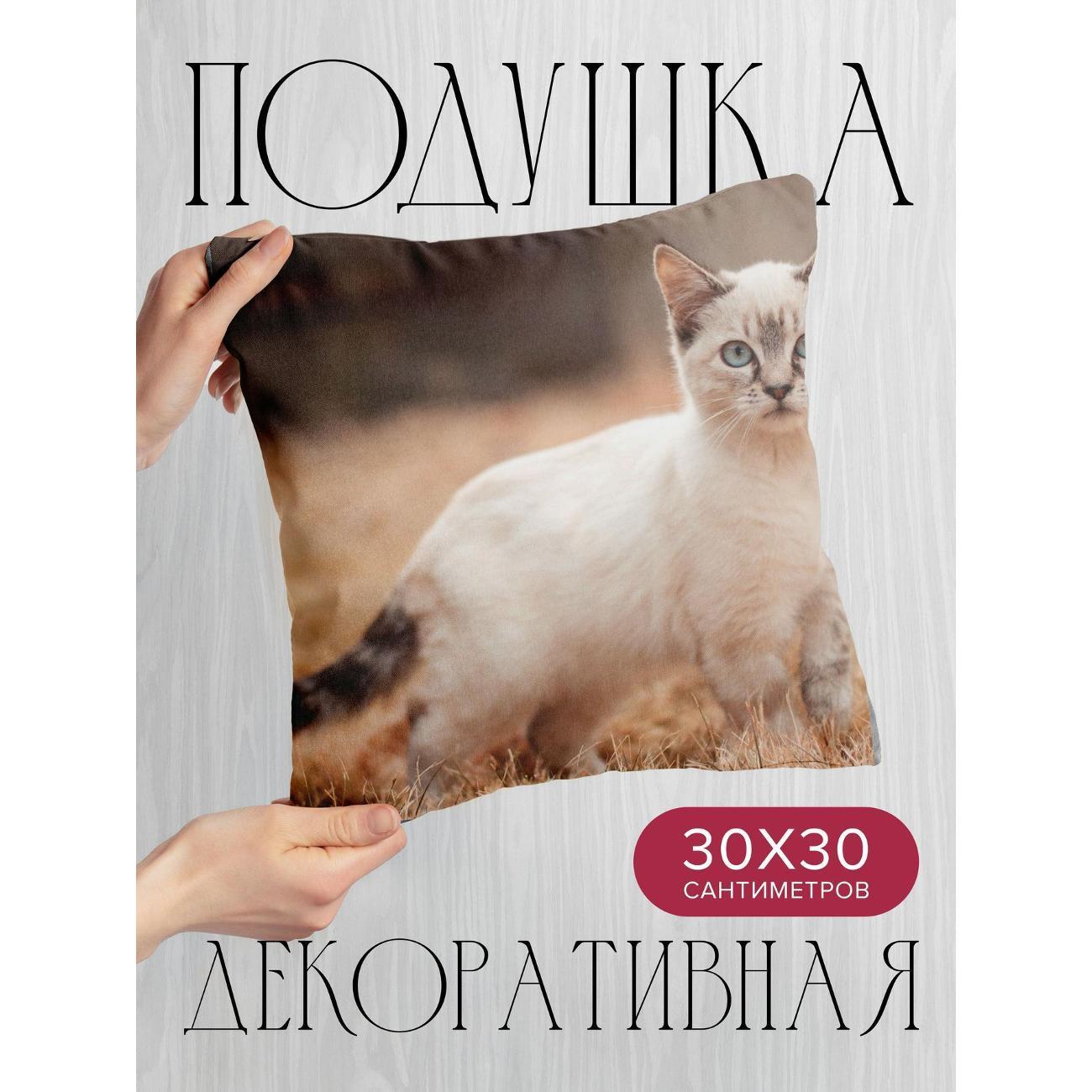 Подушка 365home 30x30см / Животные / котенок / милый (WC108479)