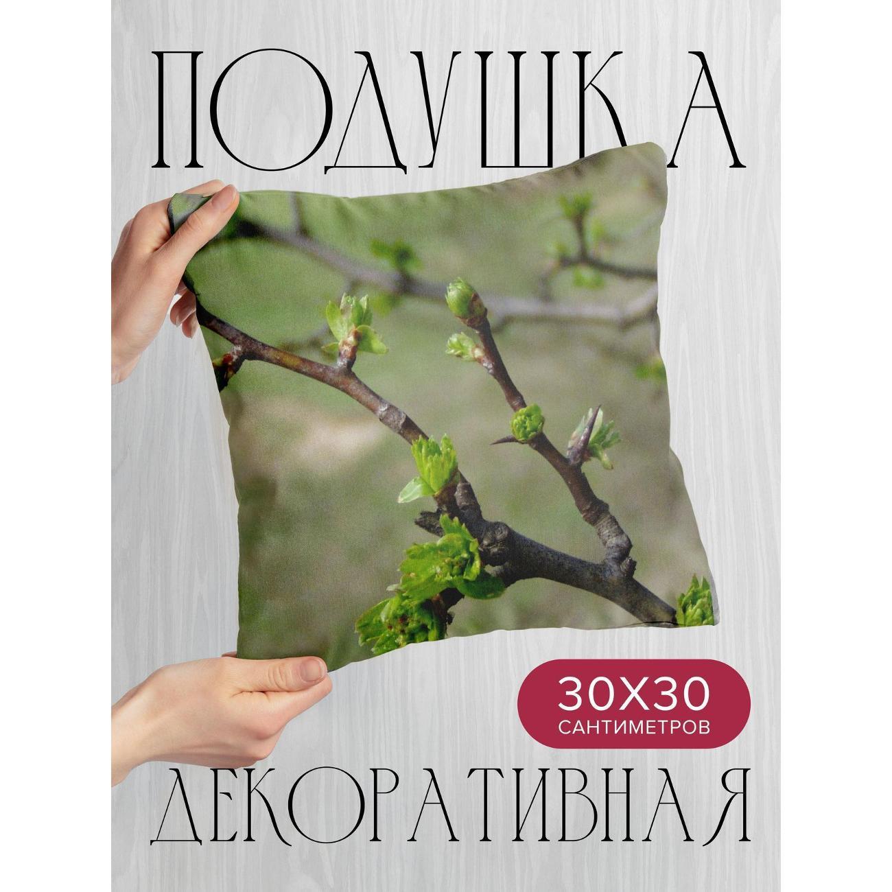 Подушка 365home 30x30см / Природа / весна / ветка (WC22658)