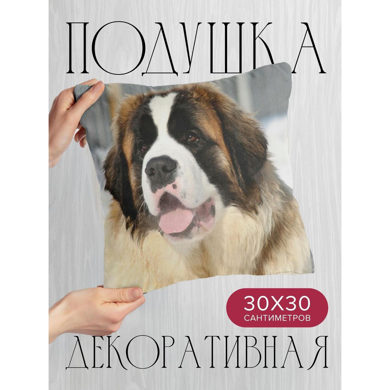Подушка 365home 30x30см / Животные / сенбернар / морда (WC26106)