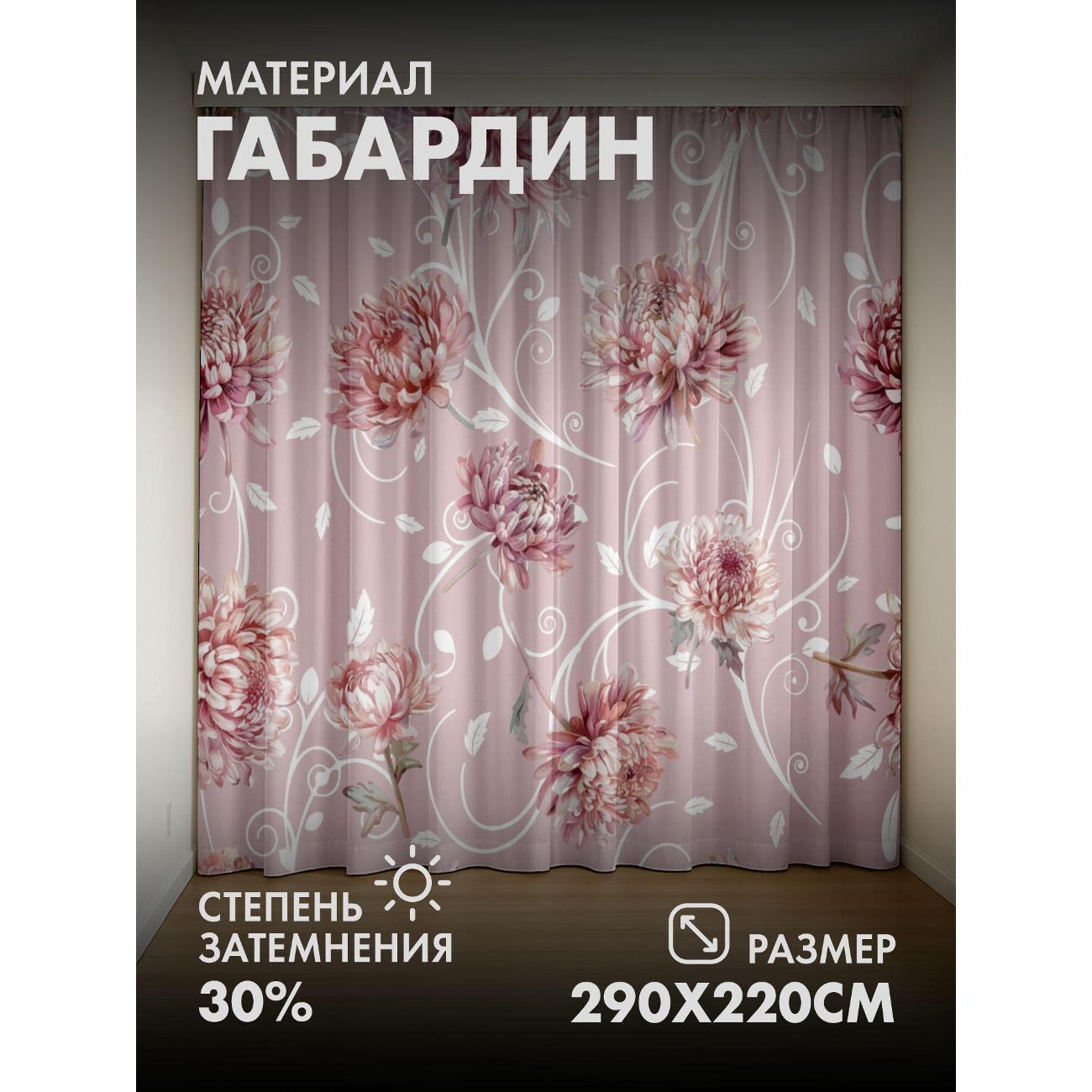 Фотошторы 365home Розовые хризантемы, завитки (FP412025726) фото