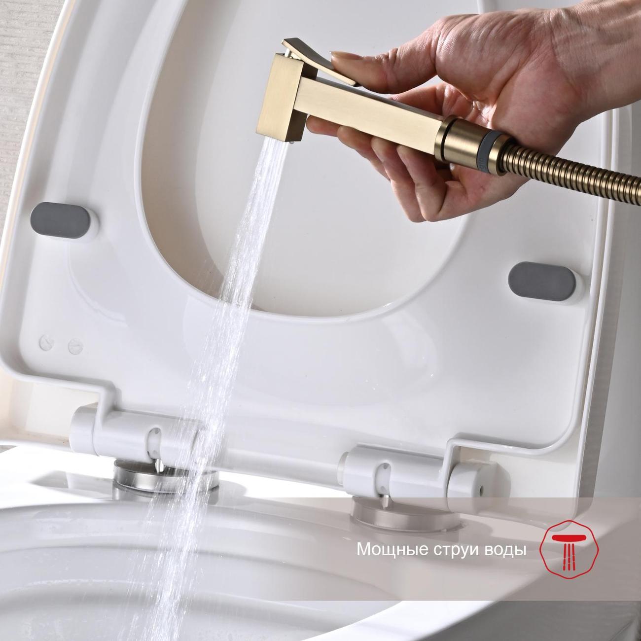 Гигиенический душ Raglo R01.52.03