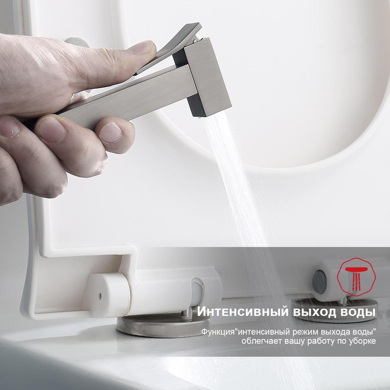 Гигиенический душ Raglo R01.51.09