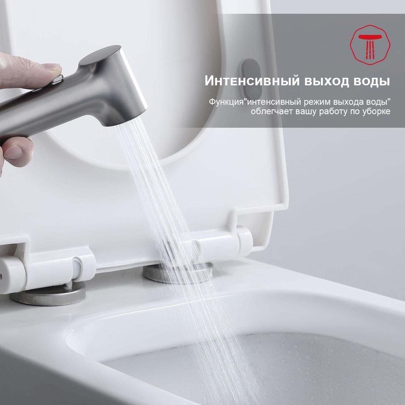 Гигиенический душ Raglo R03.52.09