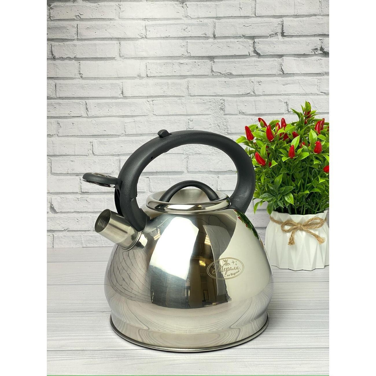 Чайник Мерали ЧН-30-02, 3 л, для всех видов плиты со свистком из нержавеющей стали, серебристый