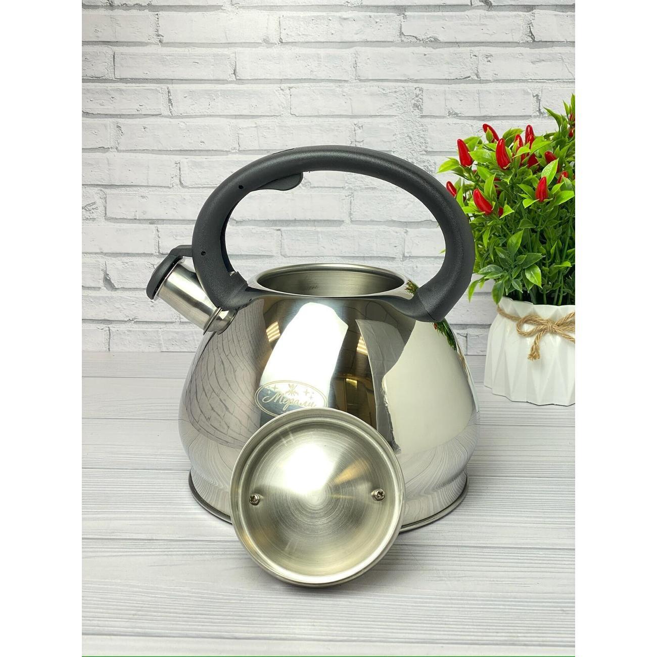 Чайник Мерали ЧН-30-02, 3 л, для всех видов плиты со свистком из нержавеющей стали, серебристый