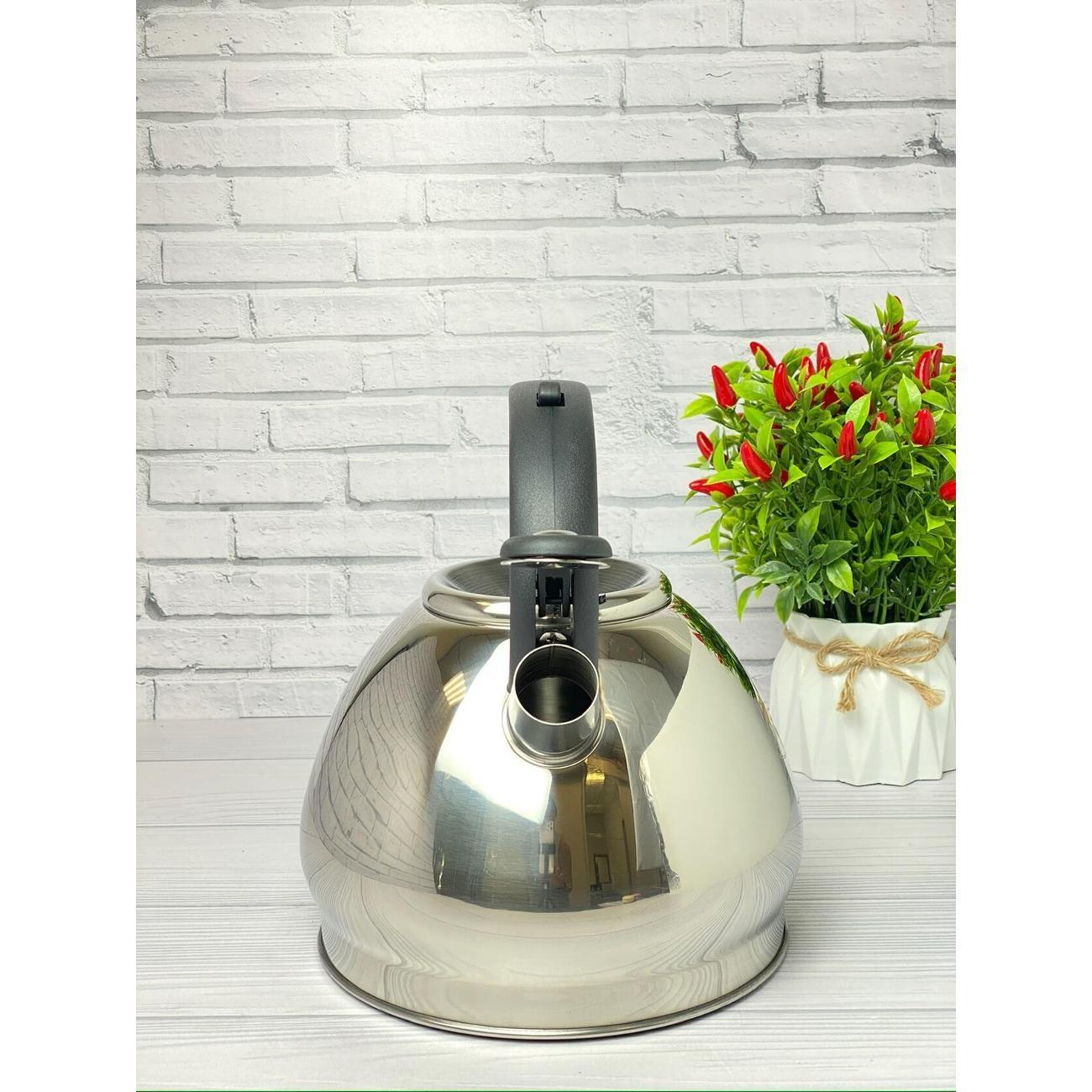 Чайник Мерали ЧН-30-02, 3 л, для всех видов плиты со свистком из нержавеющей стали, серебристый