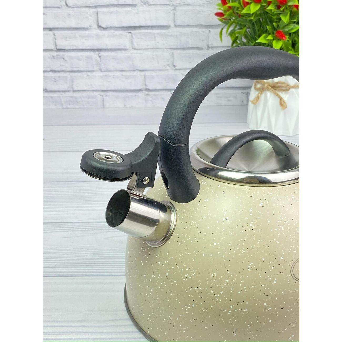 Чайник Мерали ЧН-30-19, 3 л, нержавеющая сталь для всех видов плит со складной ручкой, молочный