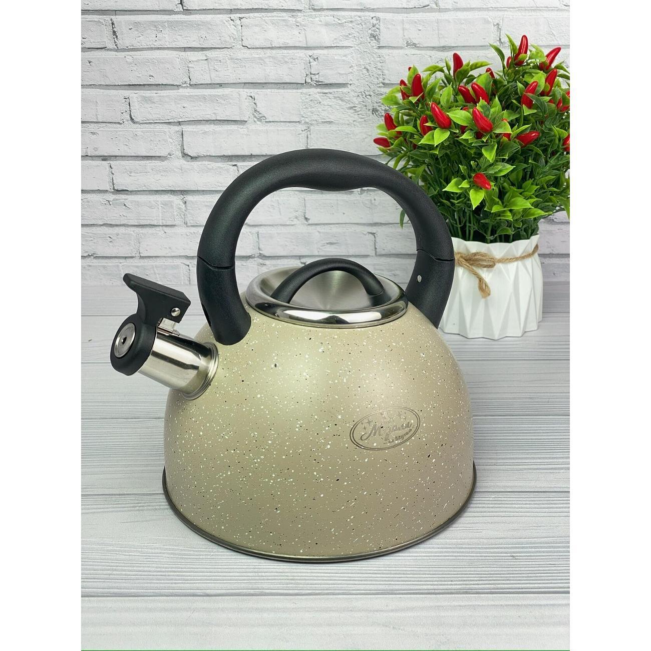 Чайник Мерали ЧН-30-19, 3 л, нержавеющая сталь для всех видов плит со складной ручкой, молочный