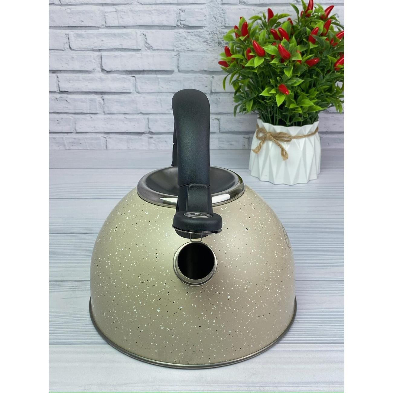 Чайник Мерали ЧН-30-19, 3 л, нержавеющая сталь для всех видов плит со складной ручкой, молочный