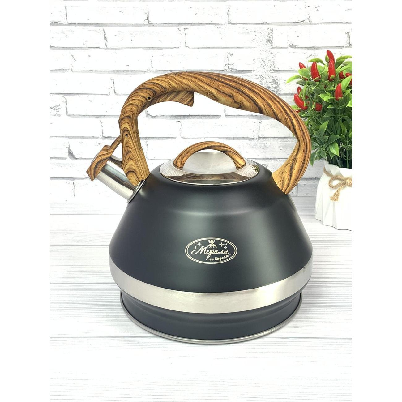 Чайник для плит Мерали ЧН-34-01, 3,4 л