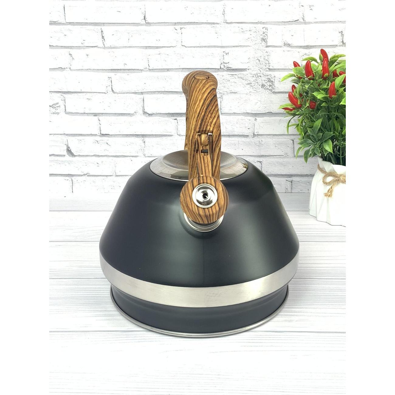 Чайник для плит Мерали ЧН-34-01, 3,4 л