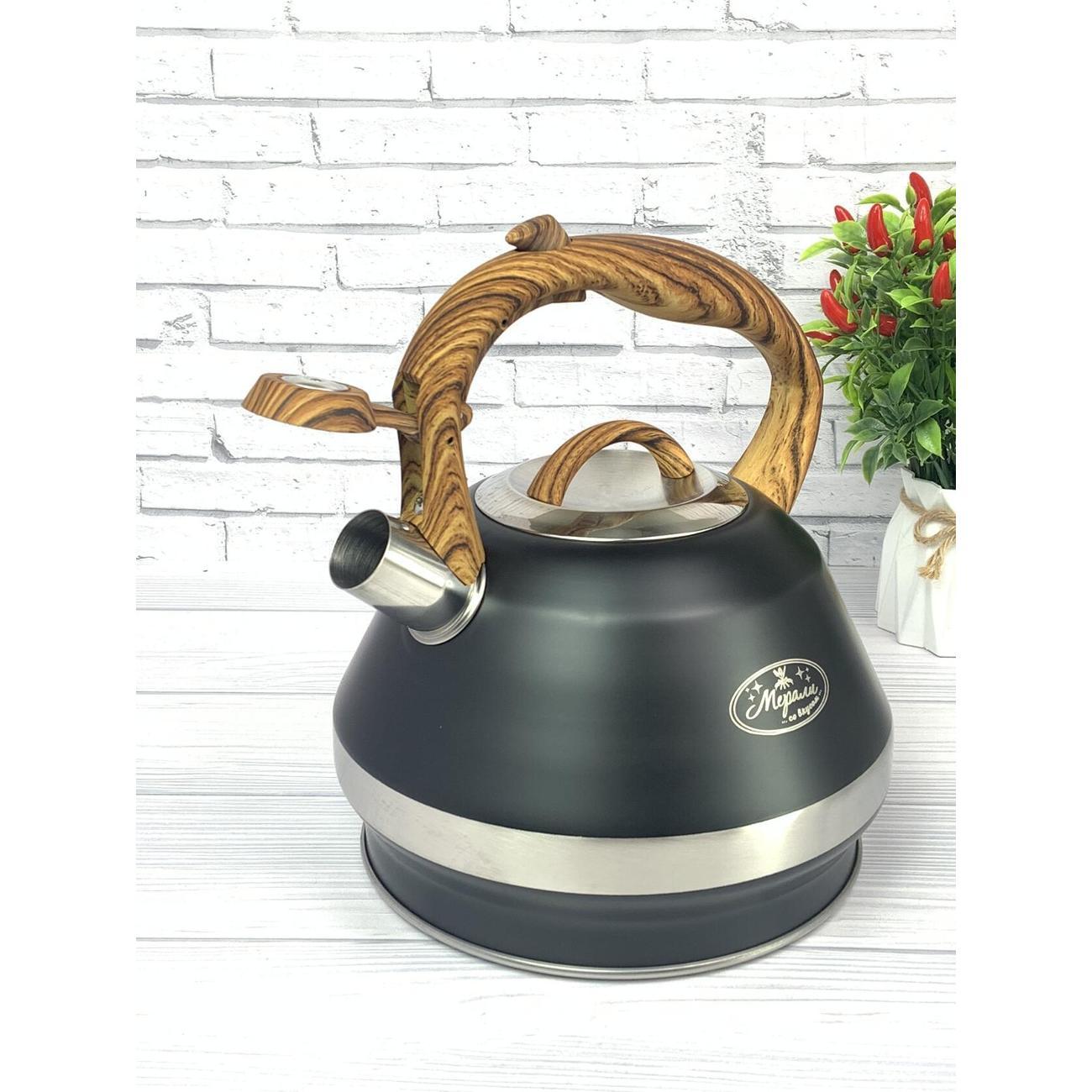 Чайник для плит Мерали ЧН-34-01, 3,4 л