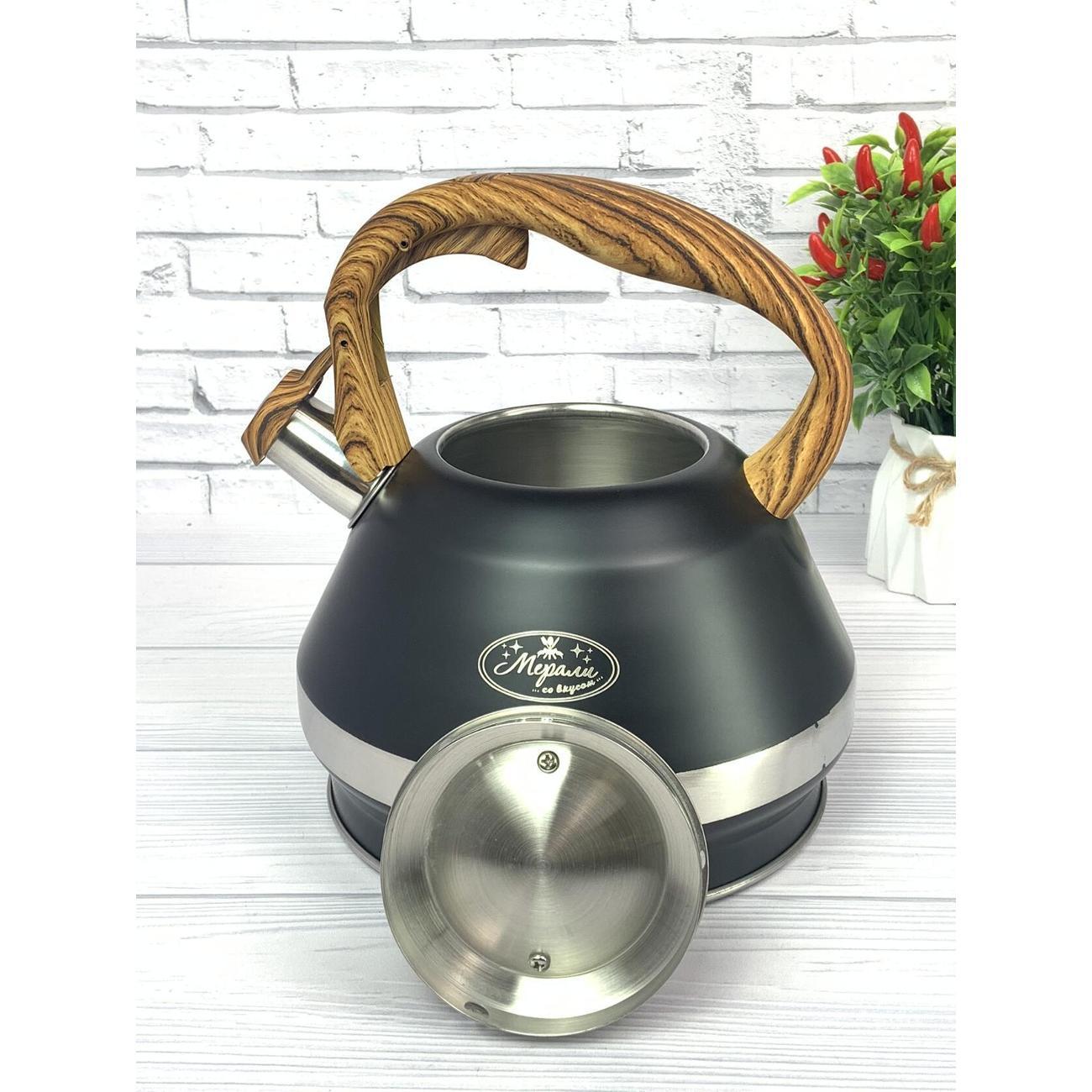 Чайник для плит Мерали ЧН-34-01, 3,4 л