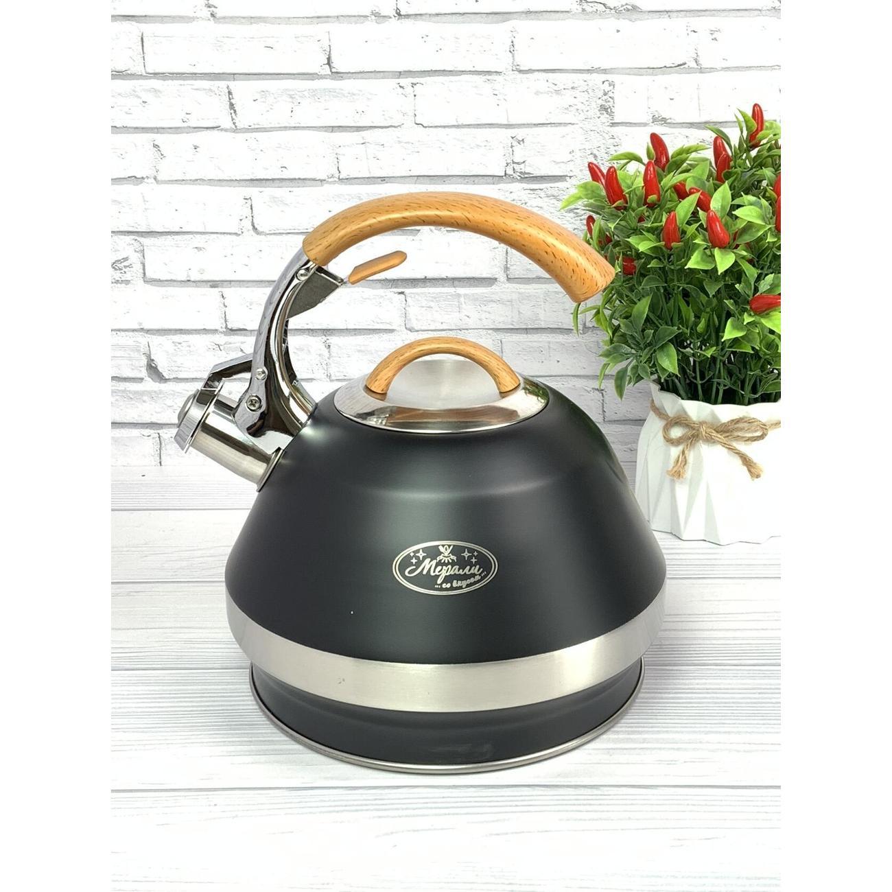 Чайник для плит Мерали ЧН-34-02, 3,4 л