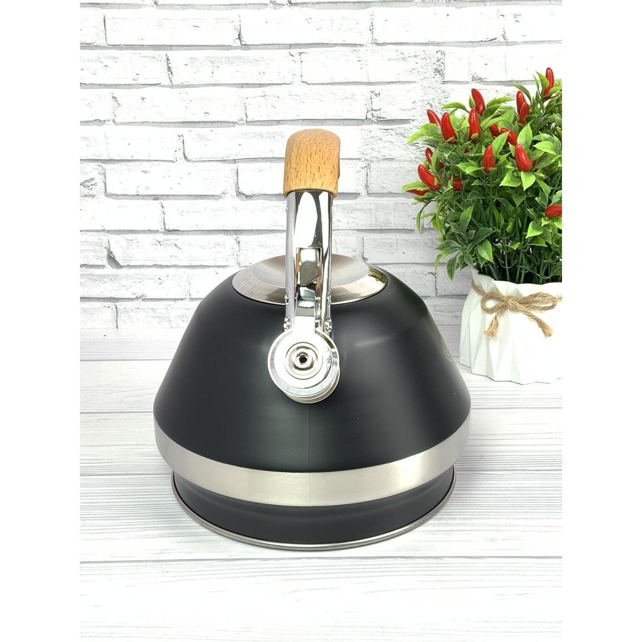 Чайник для плит Мерали ЧН-34-02, 3,4 л