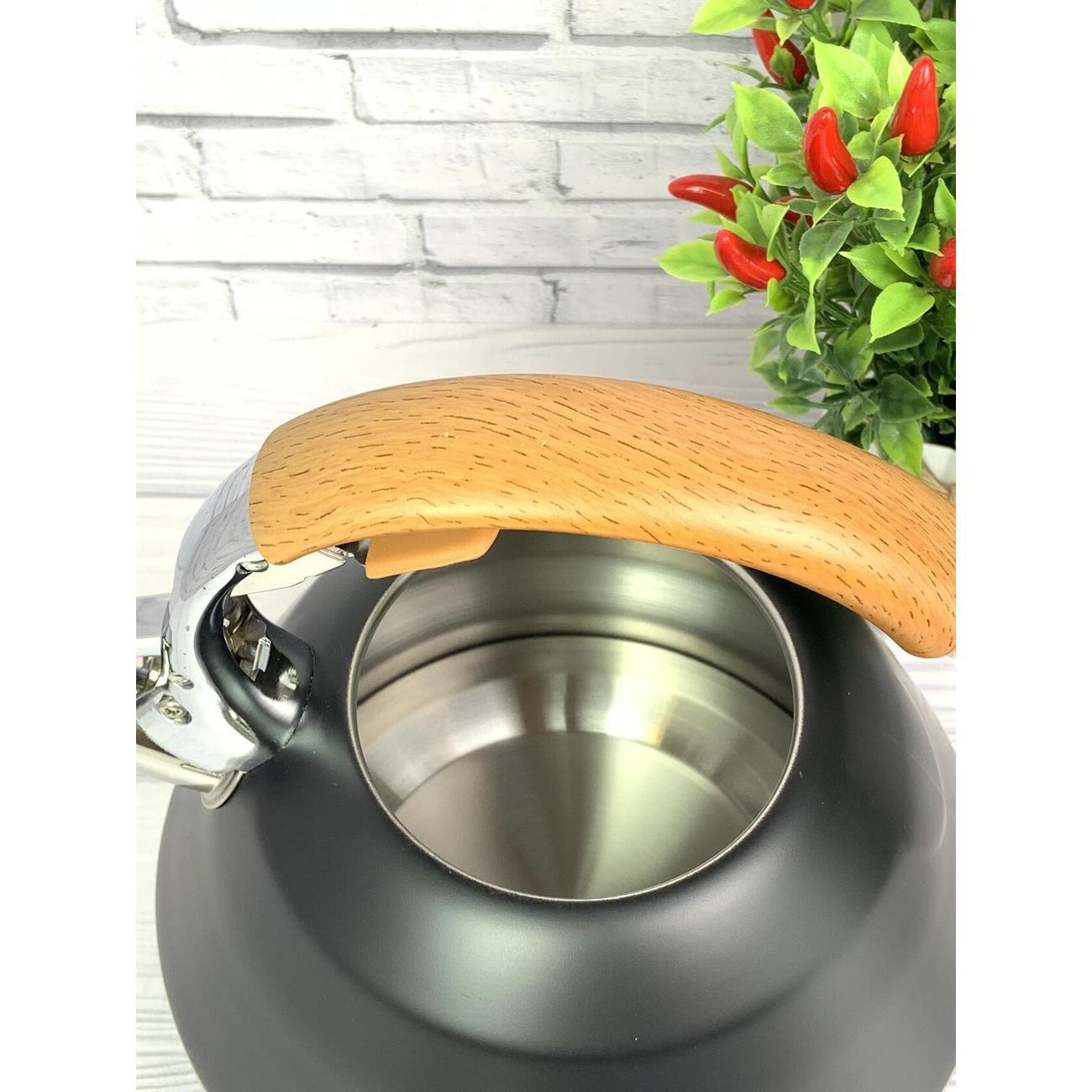 Чайник для плит Мерали ЧН-34-02, 3,4 л