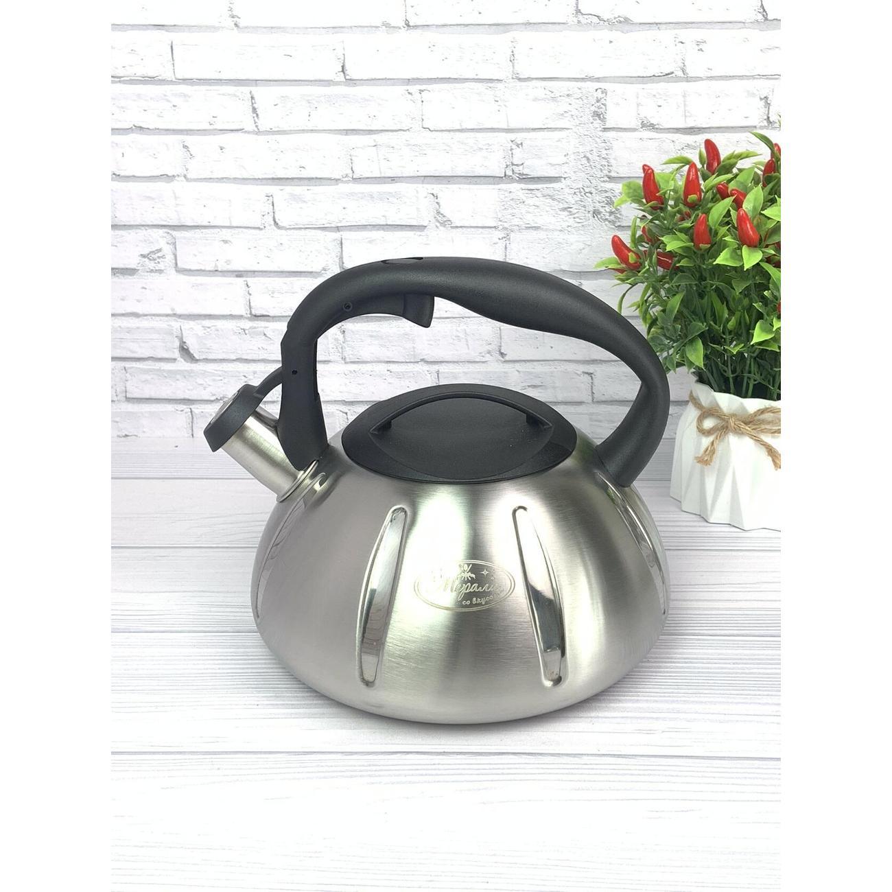 Чайник Мерали ЧН30-01, 3 л, для всех видов плиты со свистком из нержавеющей стали, серебристый