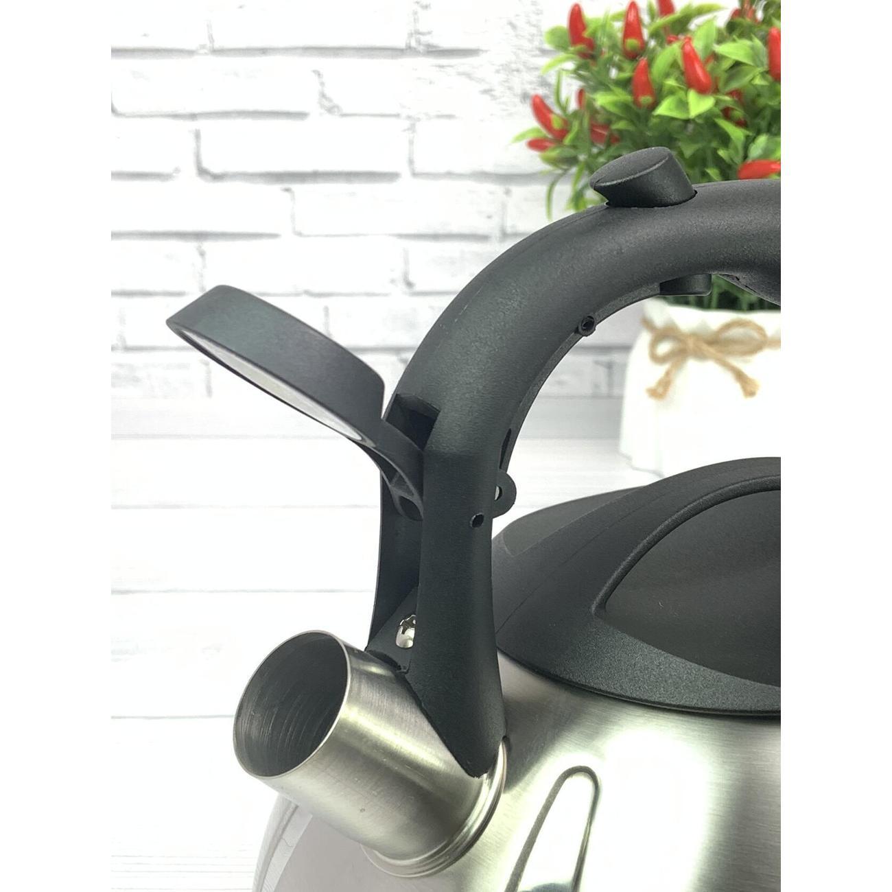 Чайник Мерали ЧН30-01, 3 л, для всех видов плиты со свистком из нержавеющей стали, серебристый