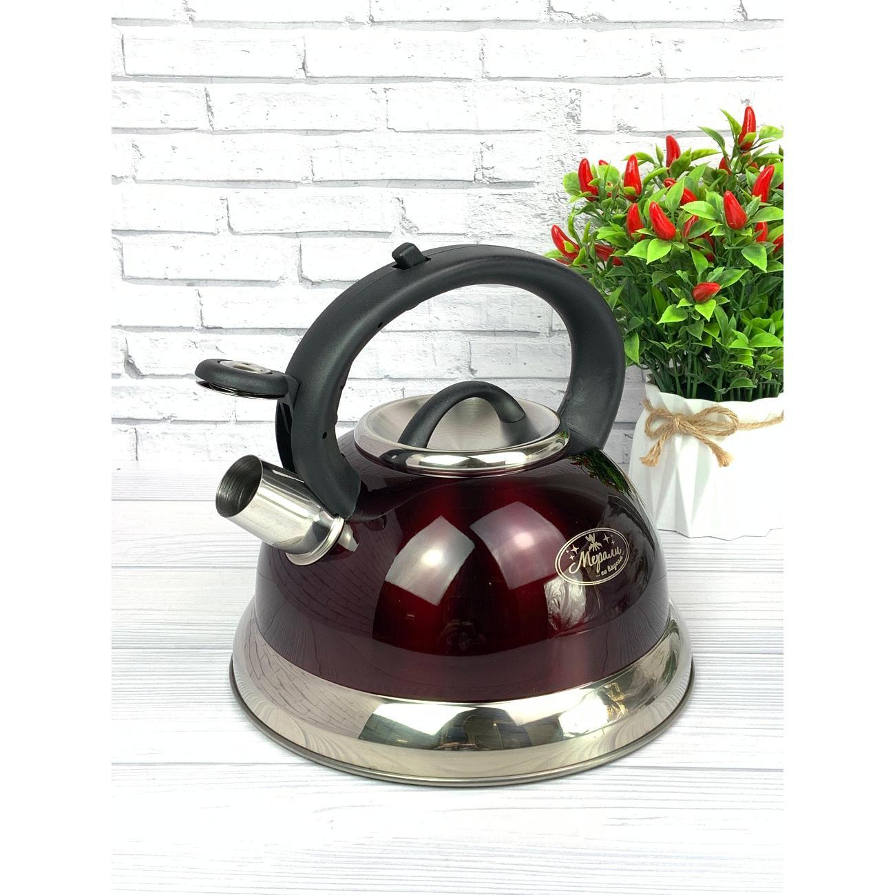 Чайник для плит Мерали со свистком 3 л