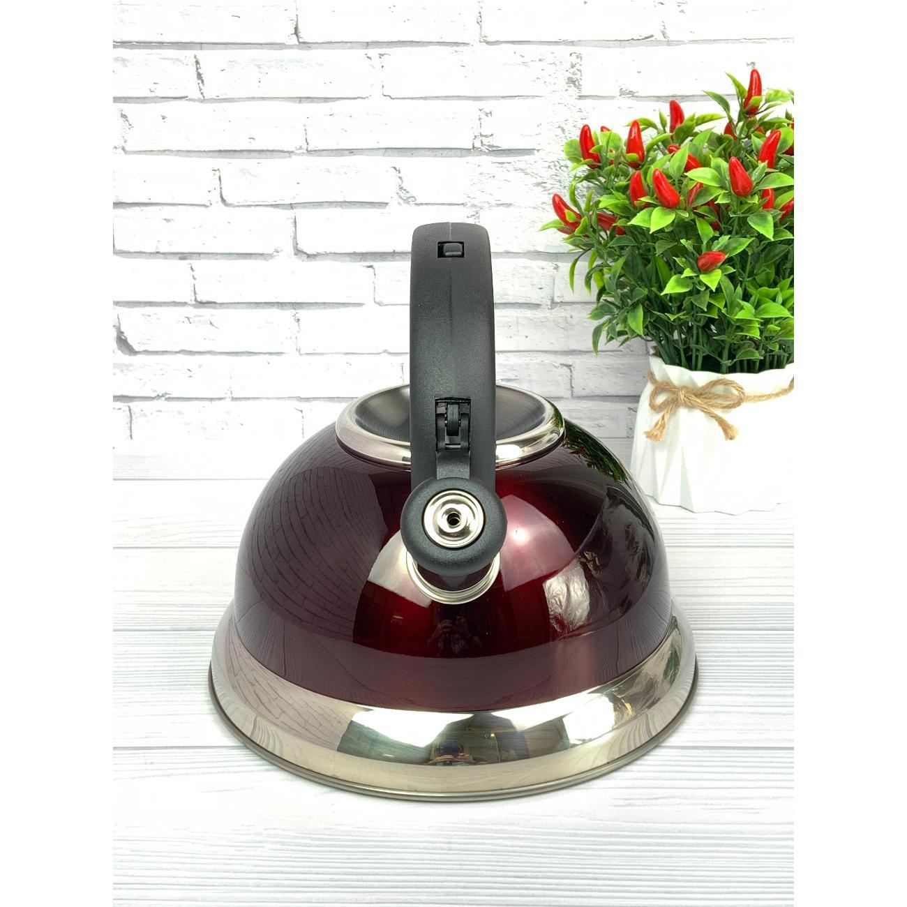 Чайник для плит Мерали со свистком 3 л