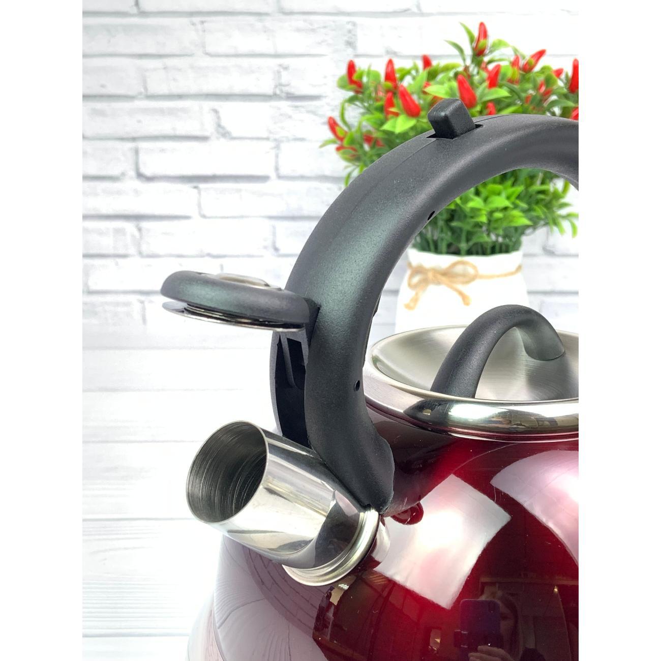 Чайник для плит Мерали со свистком 3 л