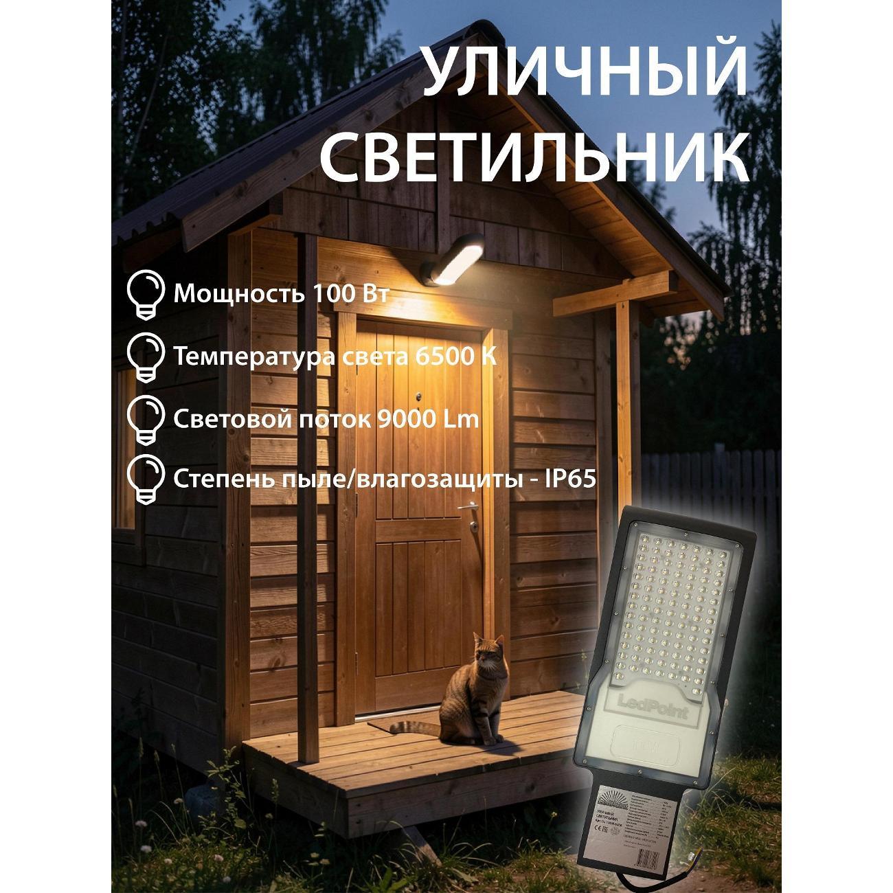 Светильник уличный LedPoint UL