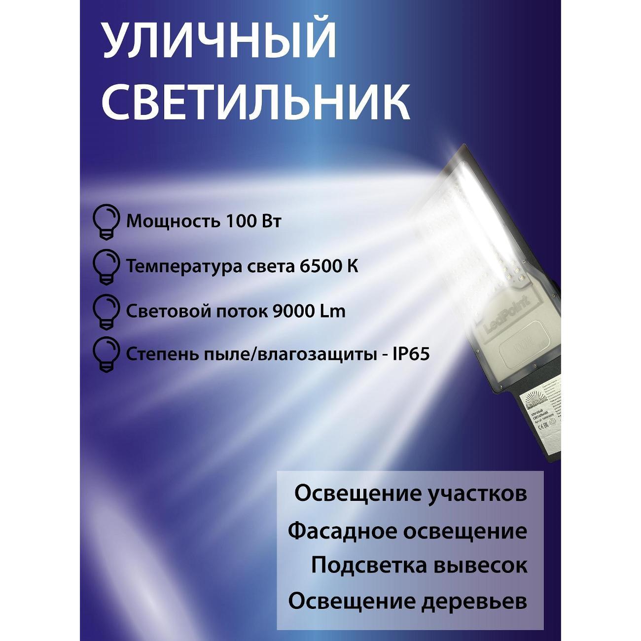 Светильник уличный LedPoint UL