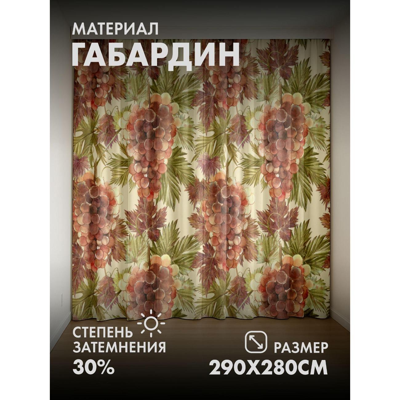 Фотошторы 365home Гроздья винограда с листьями FP8433792 фото