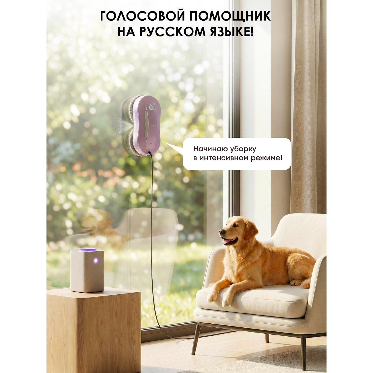 Роботы для мойки окон iBoto Win 397