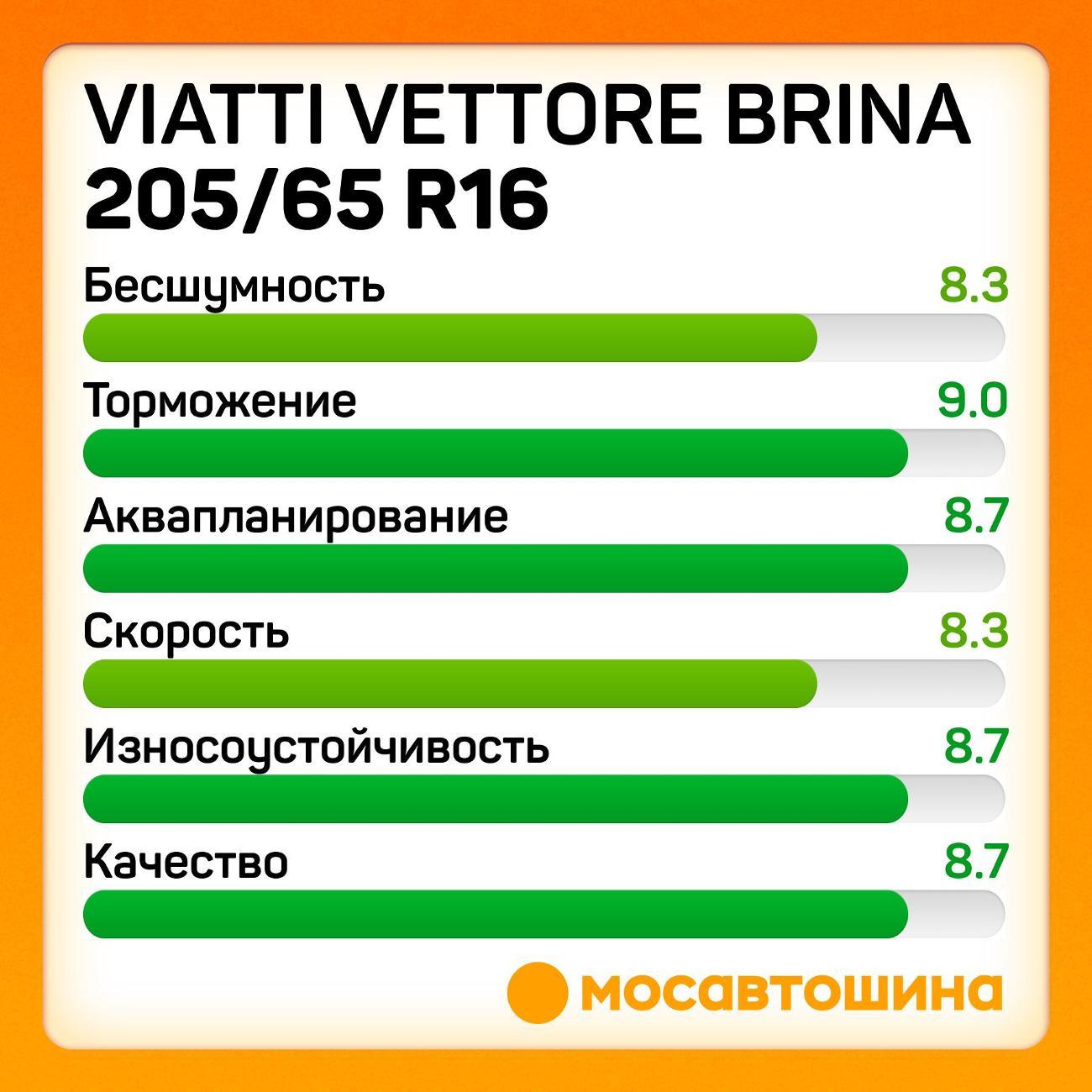 Шина автомобильная Viatti Vettore Brina 205/65 R16C 107/105R