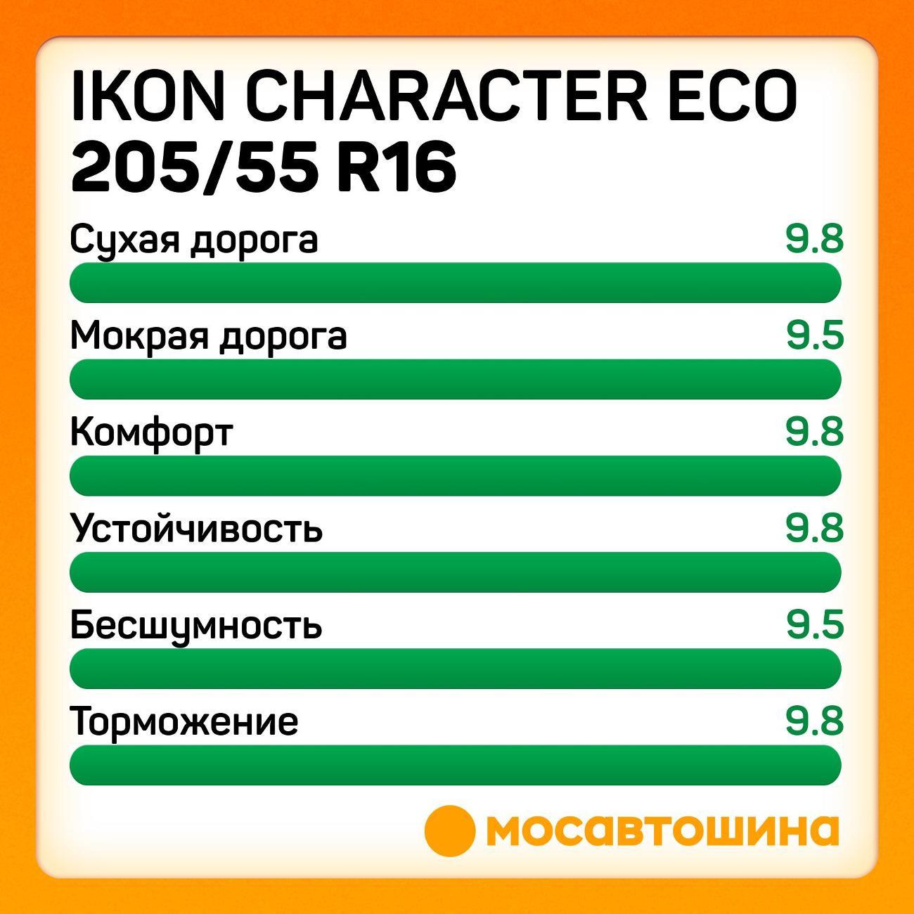 Шина автомобильная Ikon Character Eco 205/55 R16 91H