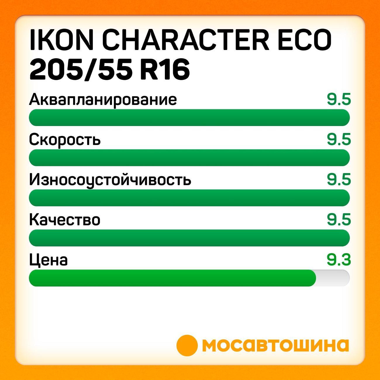 Шина автомобильная Ikon Character Eco 205/55 R16 91H