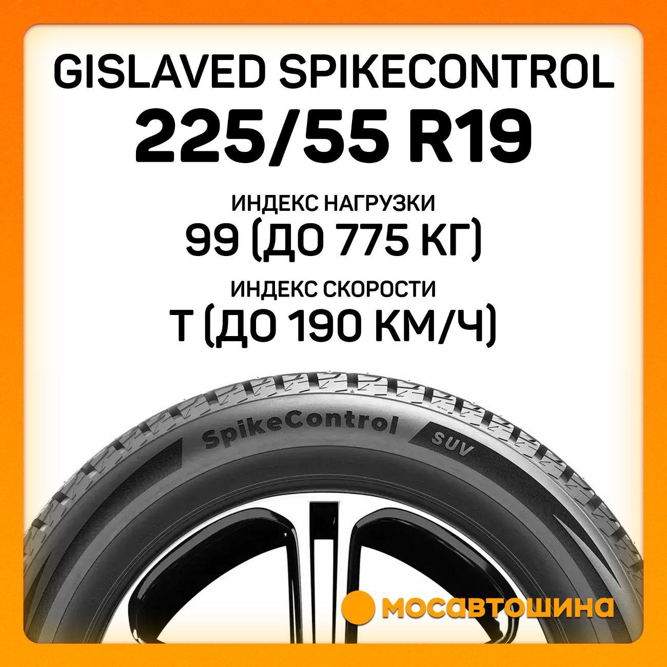 Шина автомобильная Gislaved SpikeControl 225/55 R19 99T