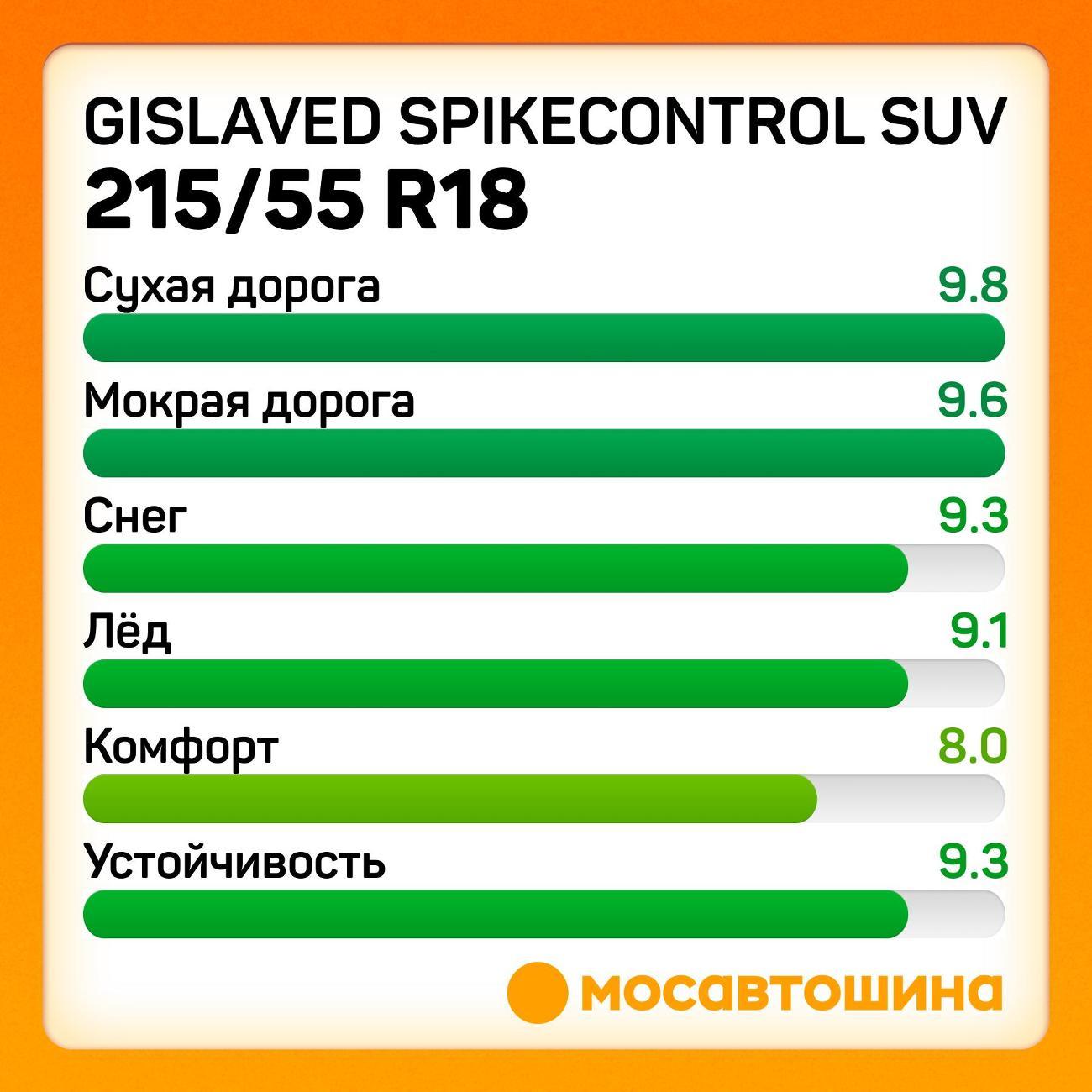 Шина автомобильная Gislaved SpikeControl SUV 215/55 R18 99T XL