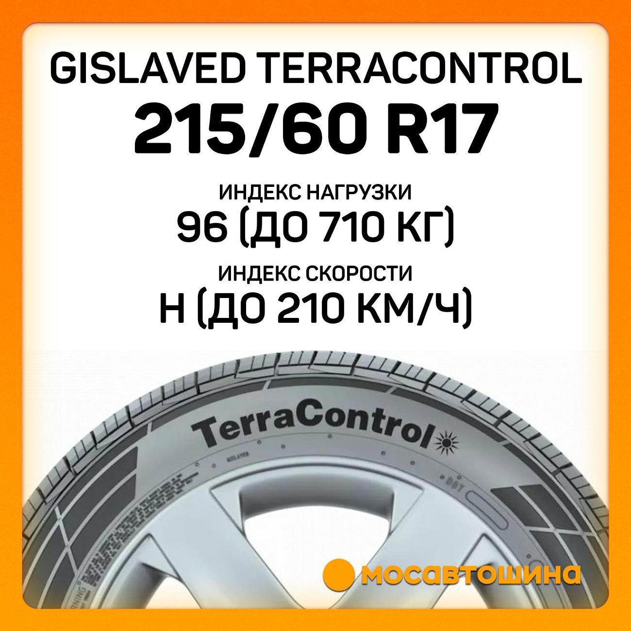 Шина автомобильная Gislaved Terracontrol 215/60 R17 96H
