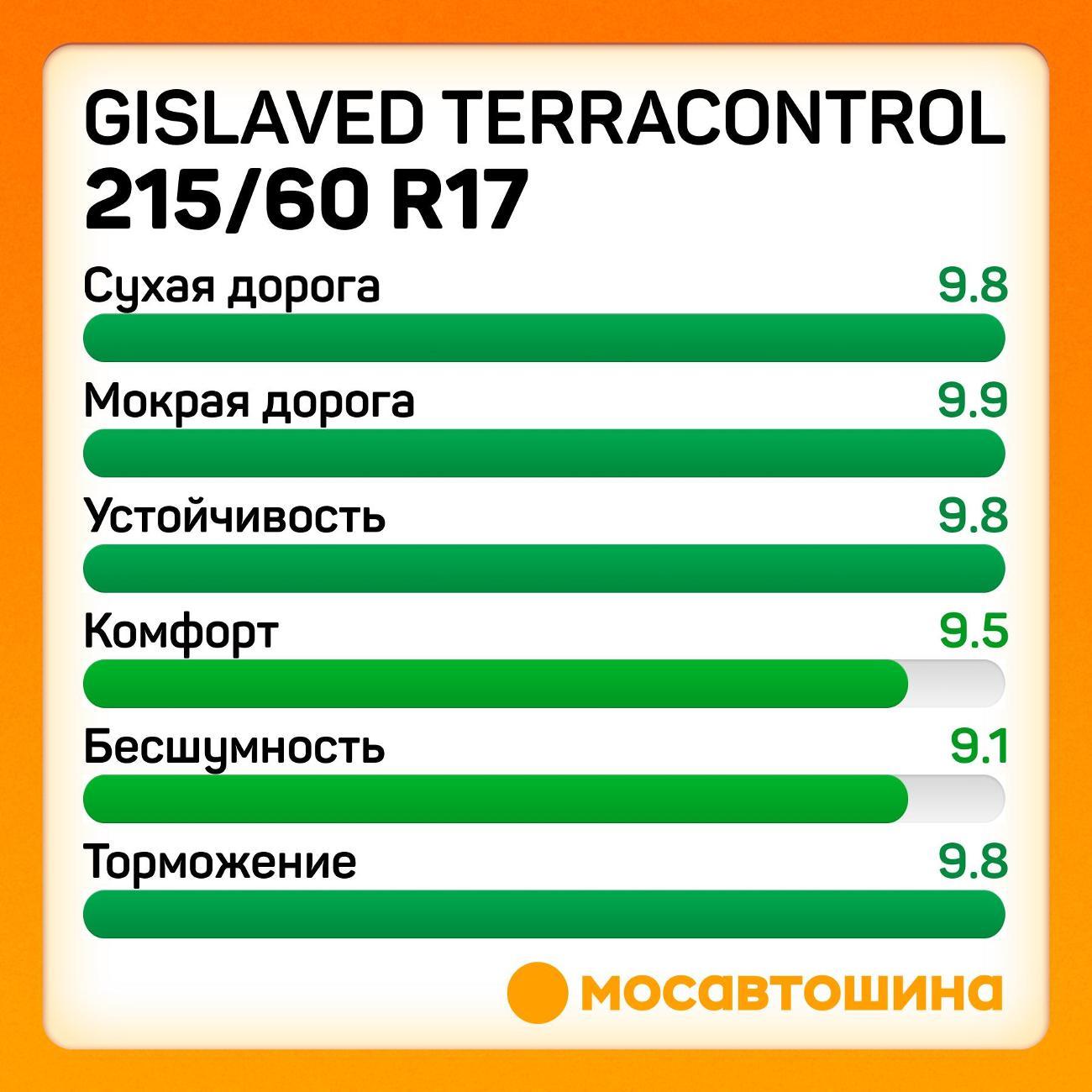 Шина автомобильная Gislaved Terracontrol 215/60 R17 96H
