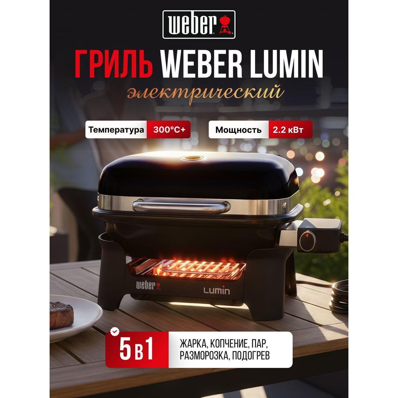 Электрогриль Weber Traveller