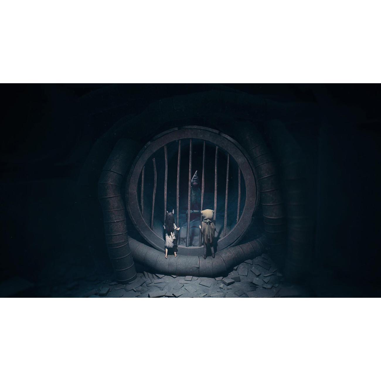 PS5 игра THQ Nordic Reanimal