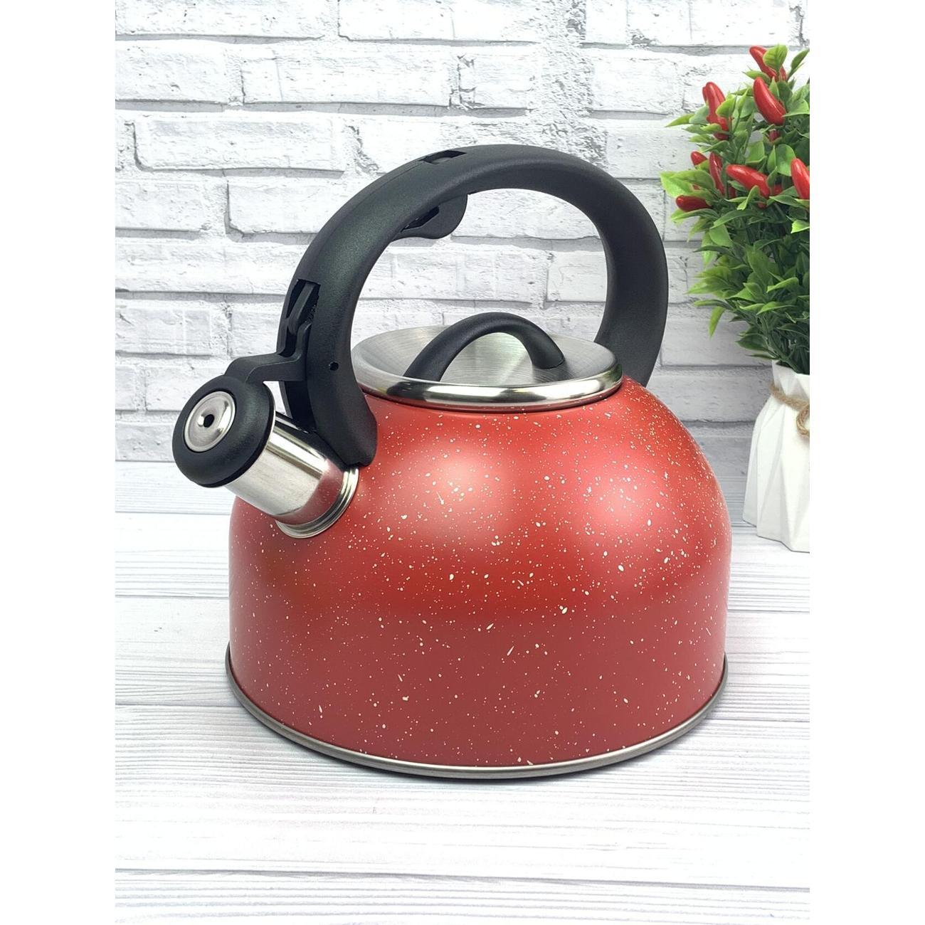 Чайник для плит Эко-Поставка со свистком 2,5 л голубой