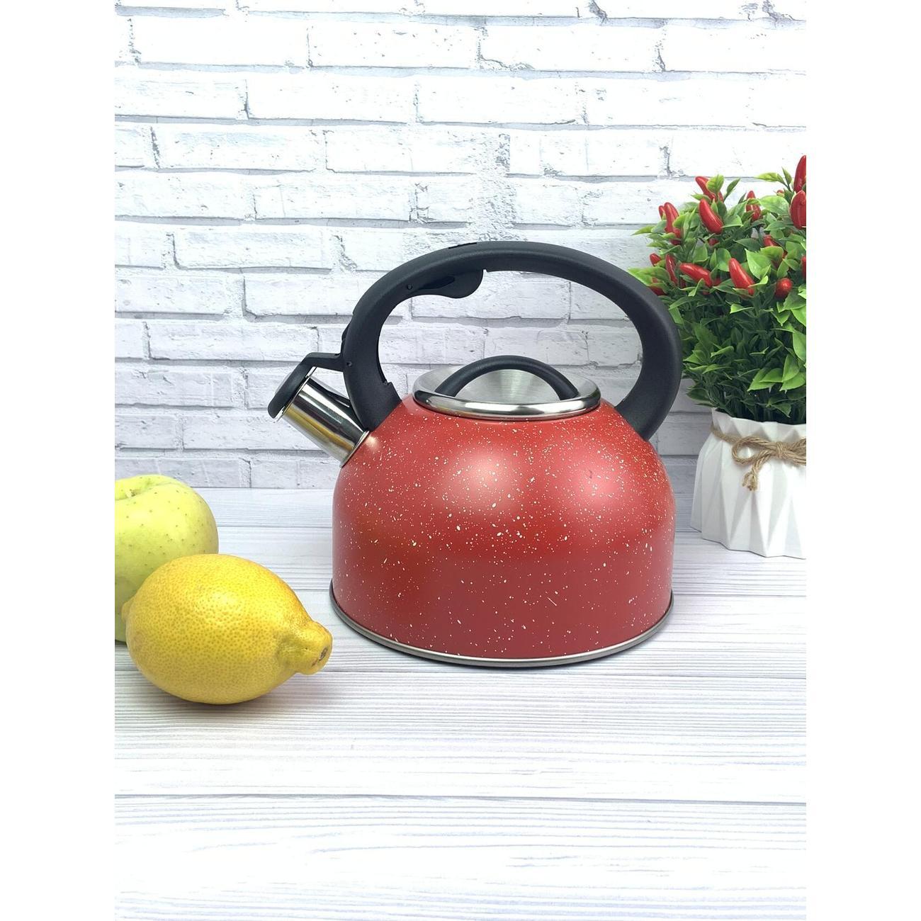 Чайник для плит Эко-Поставка со свистком 2,5 л голубой