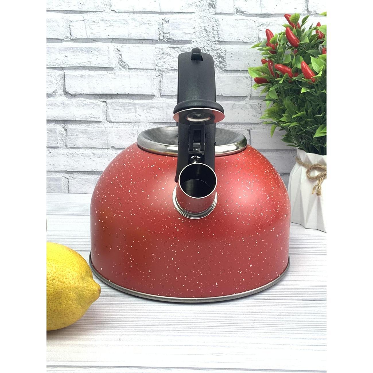 Чайник для плит Эко-Поставка со свистком 2,5 л голубой