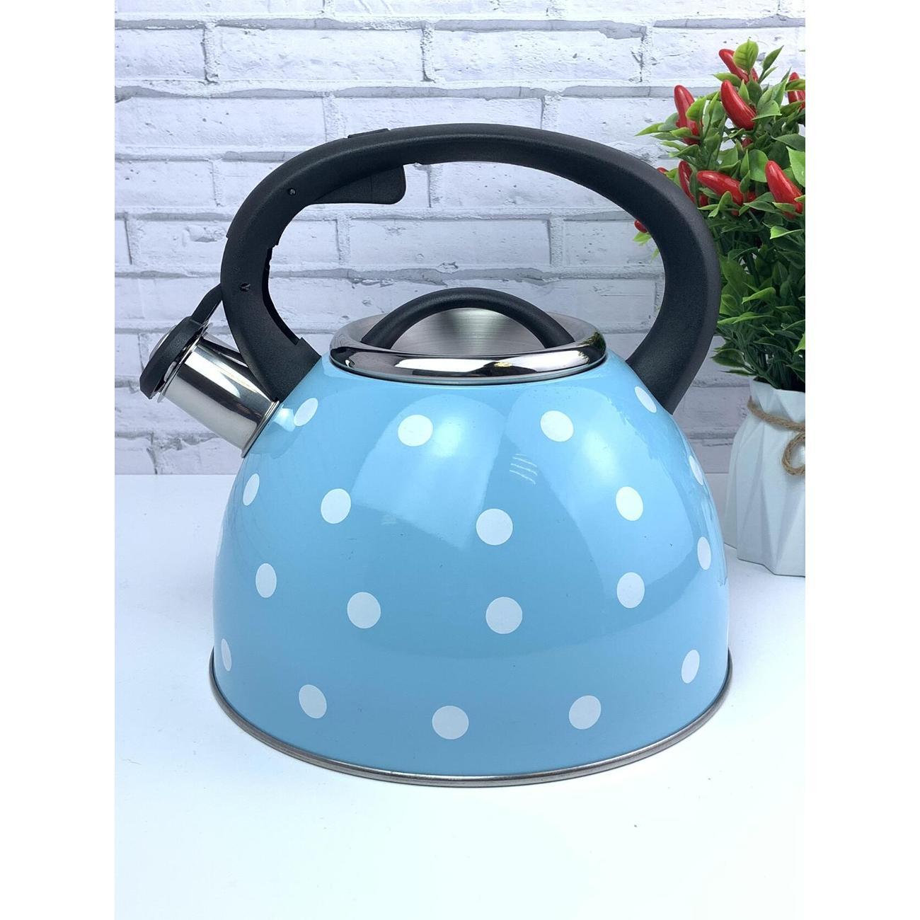 Чайник для плит Эко-Поставка со свистком 2,5 л