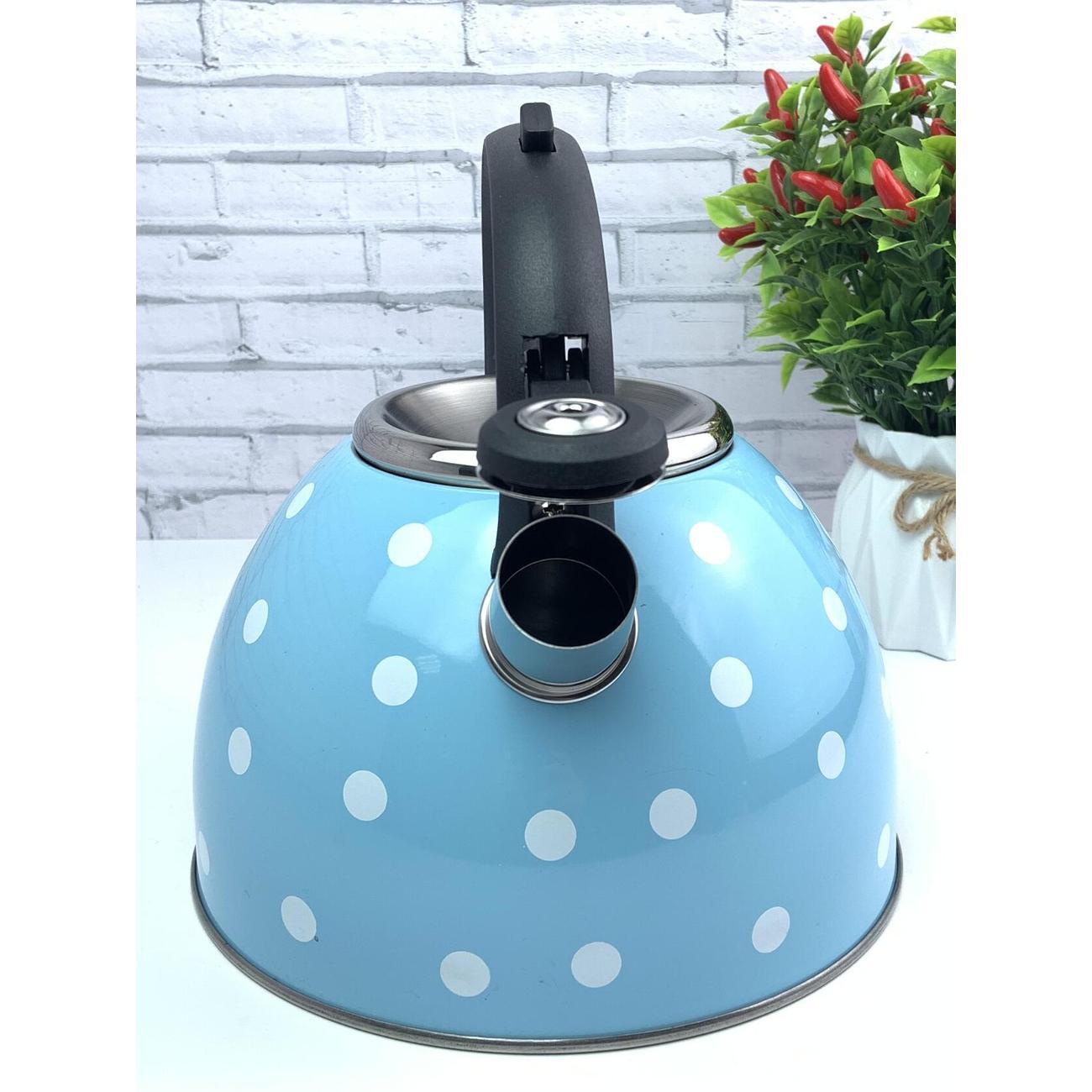 Чайник для плит Эко-Поставка со свистком 2,5 л