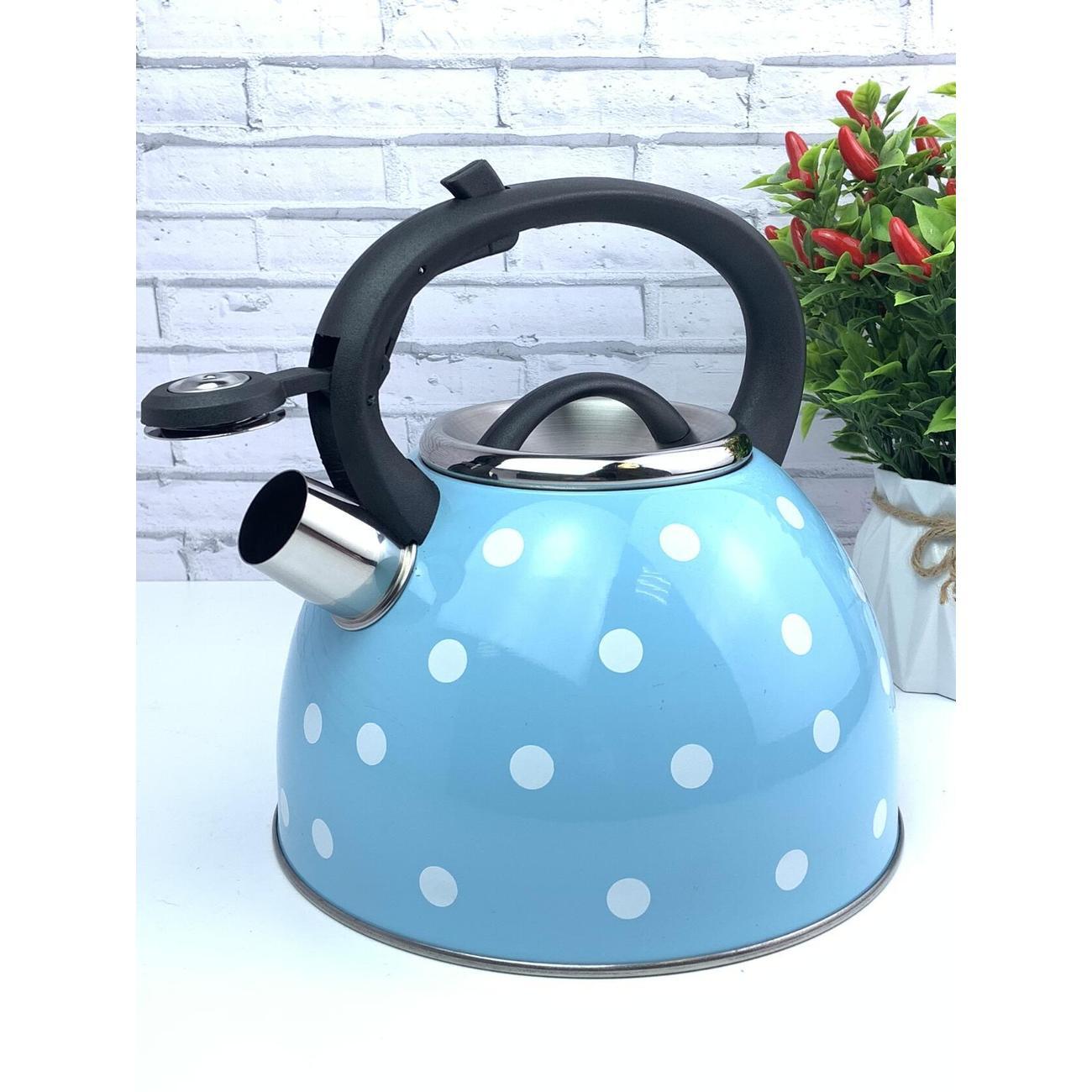 Чайник для плит Эко-Поставка со свистком 2,5 л