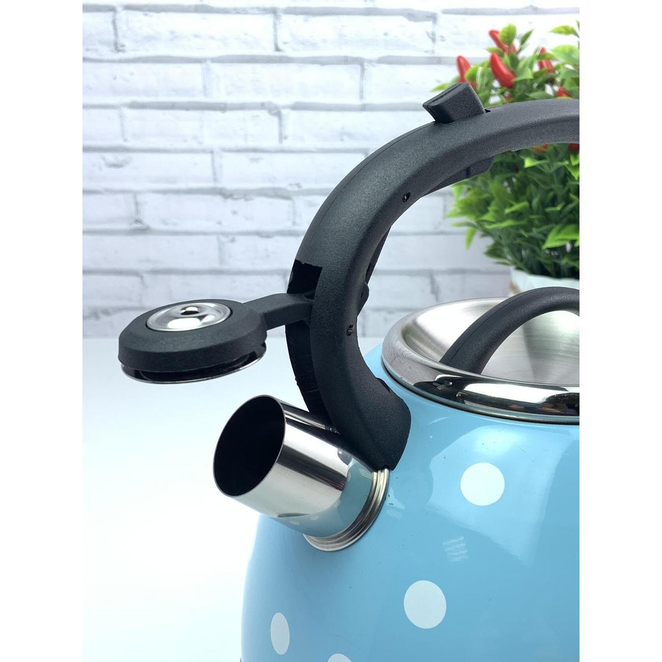 Чайник для плит Эко-Поставка со свистком 2,5 л