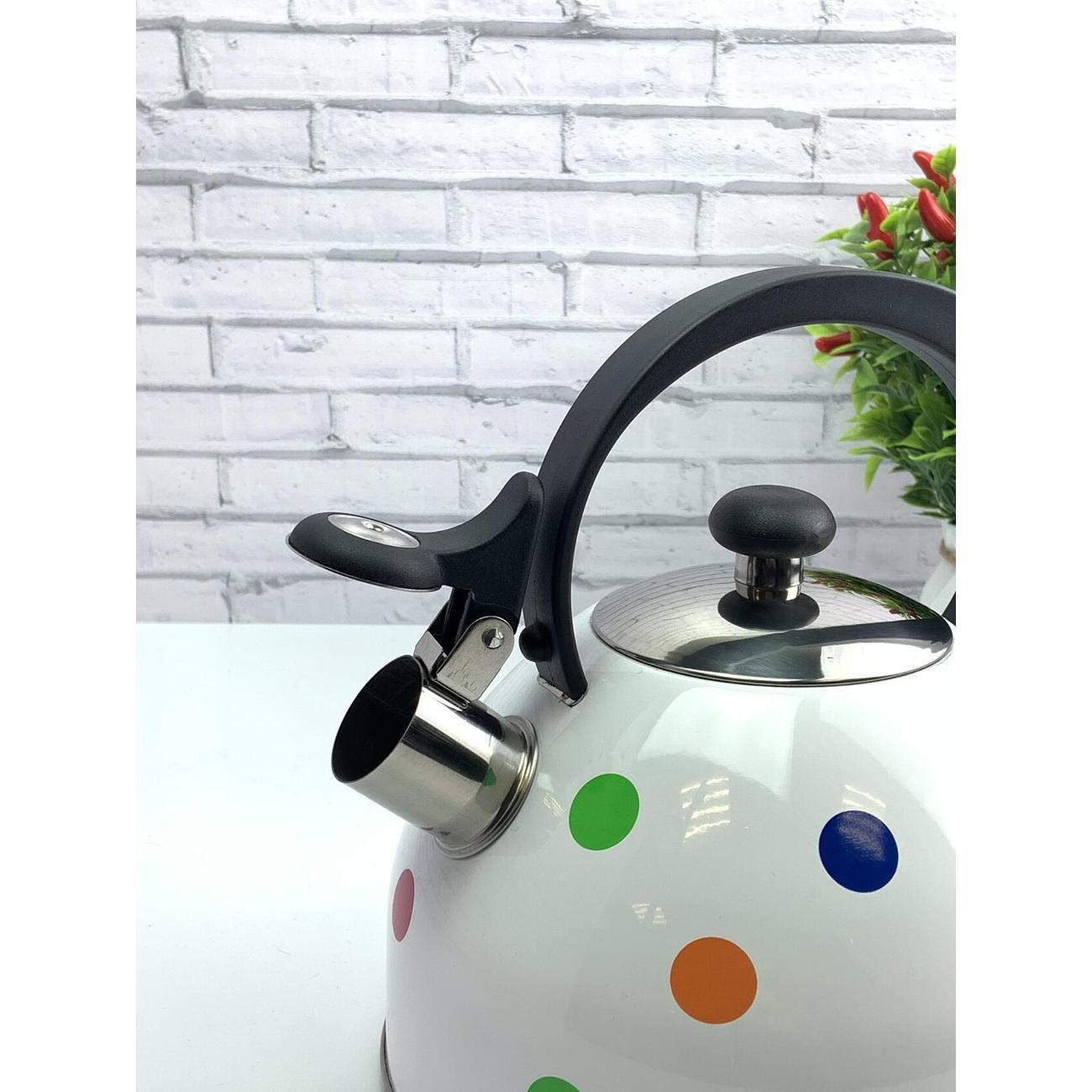 Чайник для плит Эко-Поставка со свистком 2,2 л