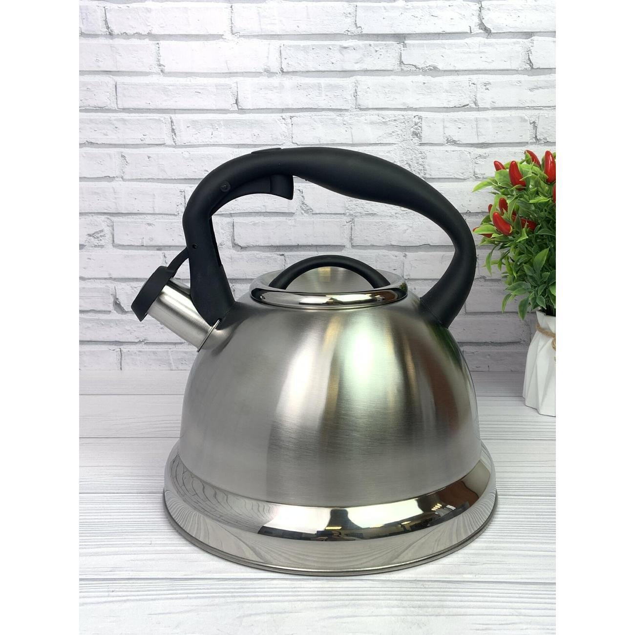 Чайник для плит Эко-Поставка со свистком 3,5 л